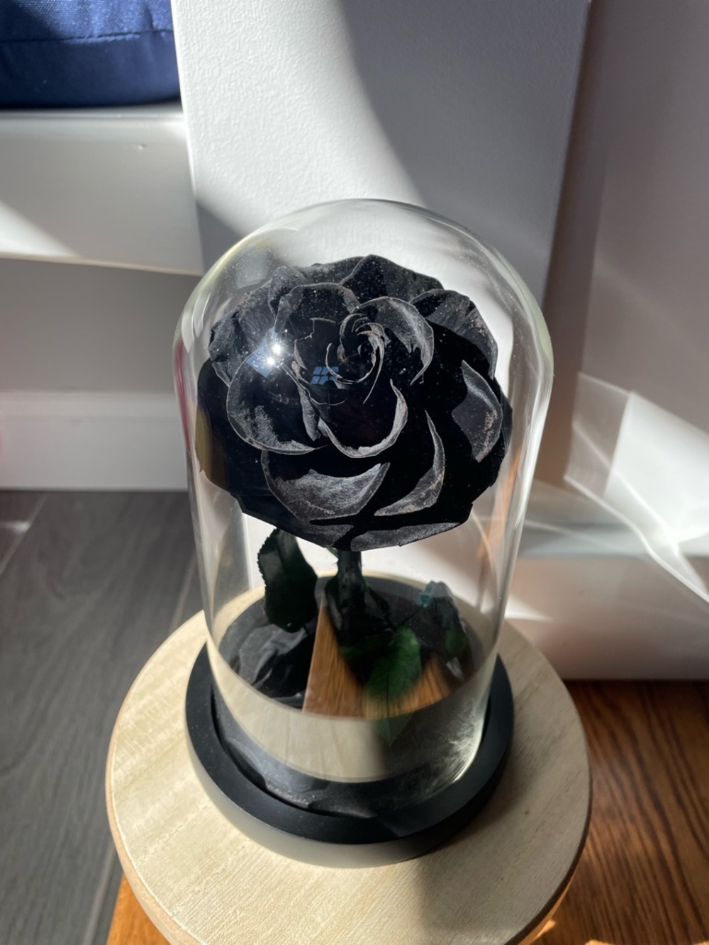 NATROSES Handmade Preserved Black Rose in Glass Dome New in Box - Picture 2 of 12